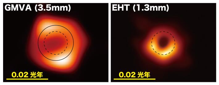 不同波長觀測的M87黑洞陰影影像，左GMVA，右EHT