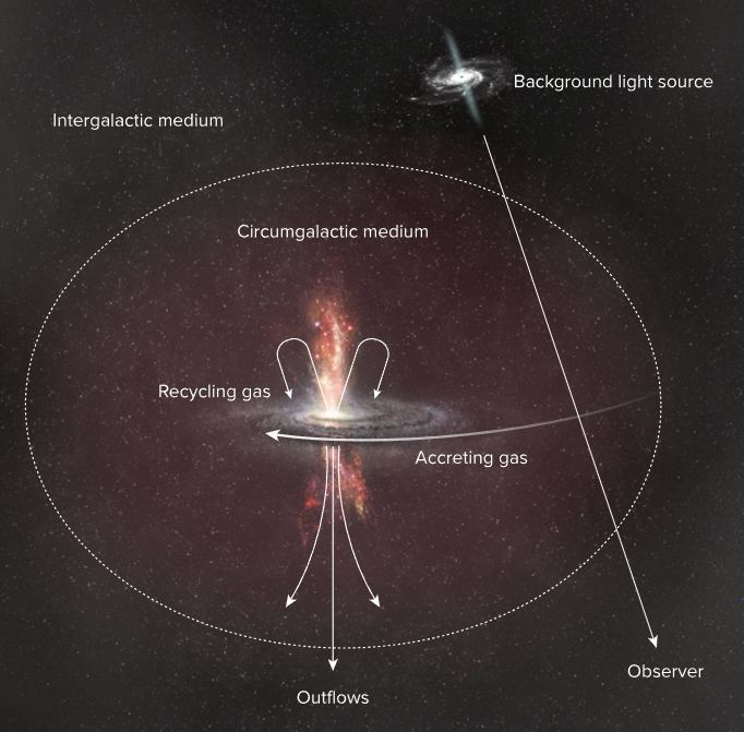 觀測AGN發現環繞星際物質