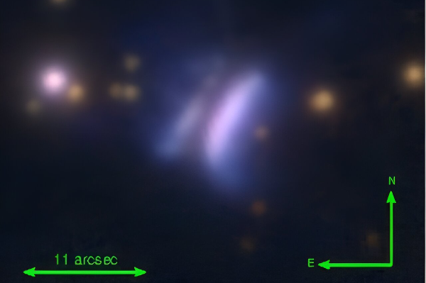 德古拉的芝維托