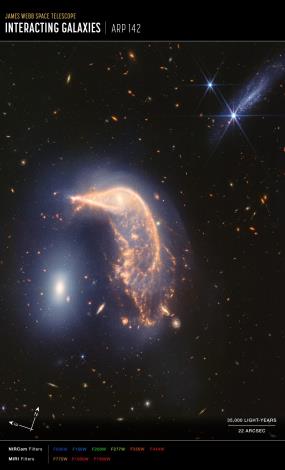 企鵝和蛋星系