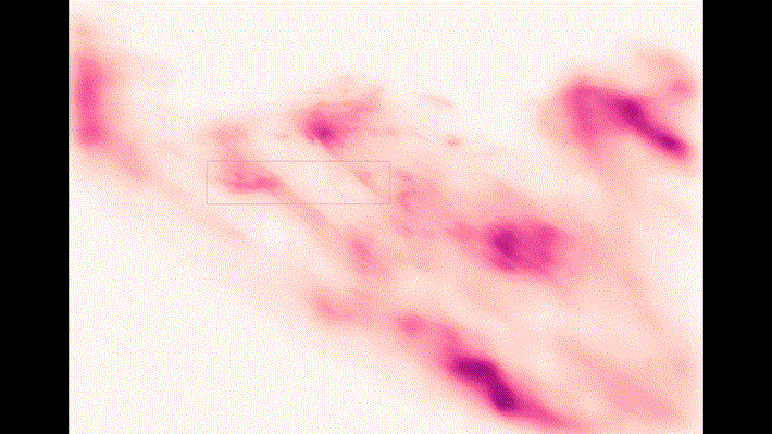 一道稱為電漿球(plasmoid)的電漿流從日冕弧系統前方穿越。Image credit: Schmidt et al./NJIT/NSO/AURA/NSF