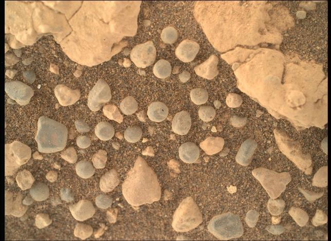 2025 年7月5日（Sol 1555），NASA的毅力號火星車使用安裝在機械臂上的 WATSON相機拍攝了這張含有球粒的鬆散風化層影像，拍攝時間為當地平均太陽時12:46:29。Credit: NASA/JPL-Caltech