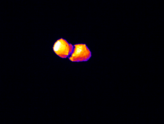20260706-3-02