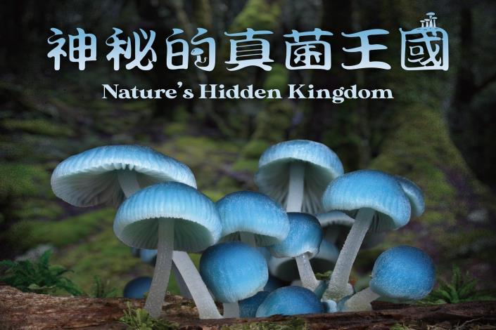 Nature’s Hidden Kingdom poster
