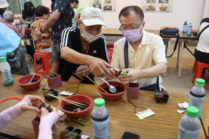 10-長者教院長仙人掌拆盆技巧.JPG
