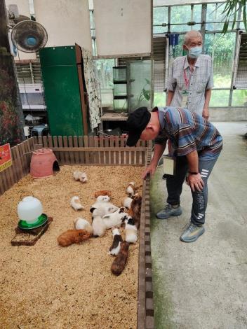 25-113年農遊樂活趣-逛逛可愛動物天竺鼠