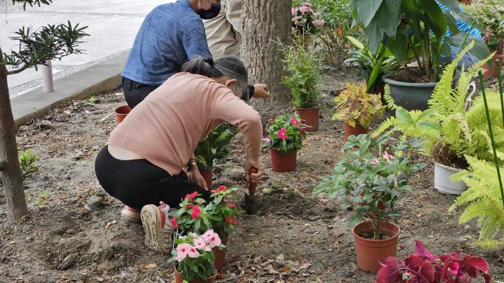 職能治療師帶領學員進行植栽