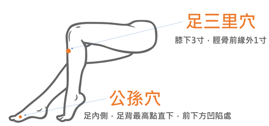足三里穴及公孫穴(圖片由謝昆哲醫師提供)