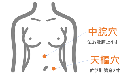 中脘穴及天樞穴(圖片由謝昆哲醫師提供)