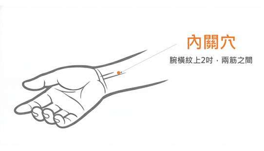 內關穴(圖片由謝昆哲醫師提供)