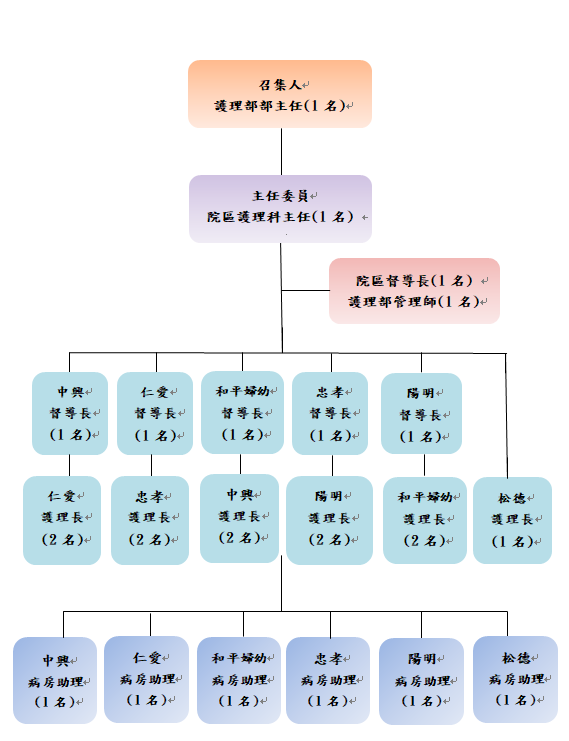 整合照護委員會組織圖.png