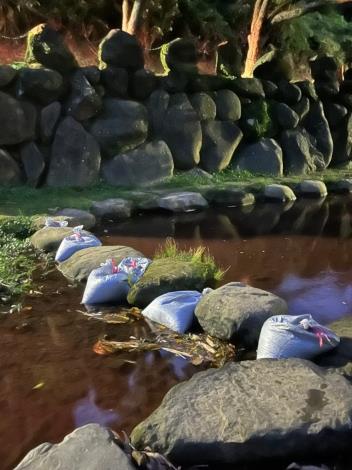 臺北市環保局於內溝溪水色異常河段（明舉橋下游30公尺處）以活性碳沙包圍堵