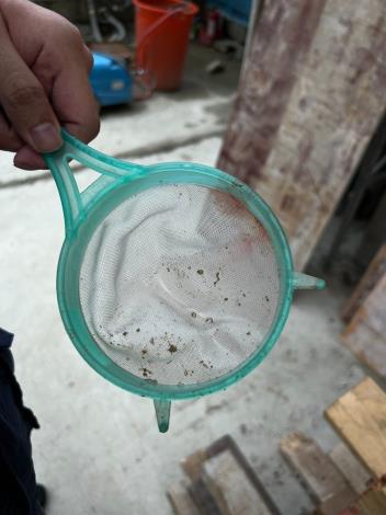 環保局人員查獲工地積水處有病媒蚊幼蟲(孑孓)1
