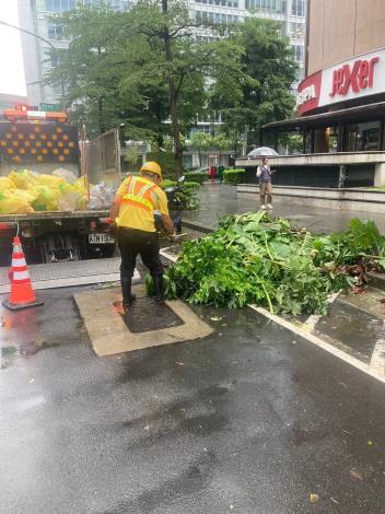 照片1-4：臺北市環保局人員進行路樹斷枝清除作業3_0