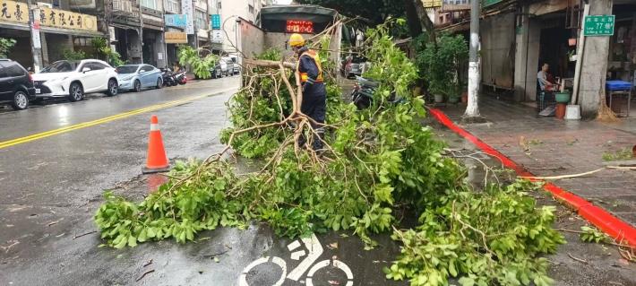 照片1-1：臺北市環保局人員進行路樹斷枝清除作業4_0