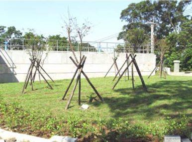 下竹林配水池加壓站草坪