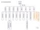 1101組織架構圖