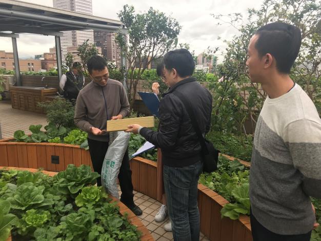歌林商業大樓綠屋頂完工勘驗