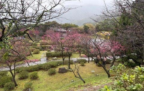 2026陽明山明天開跑幕，期間適逢春節及228連假