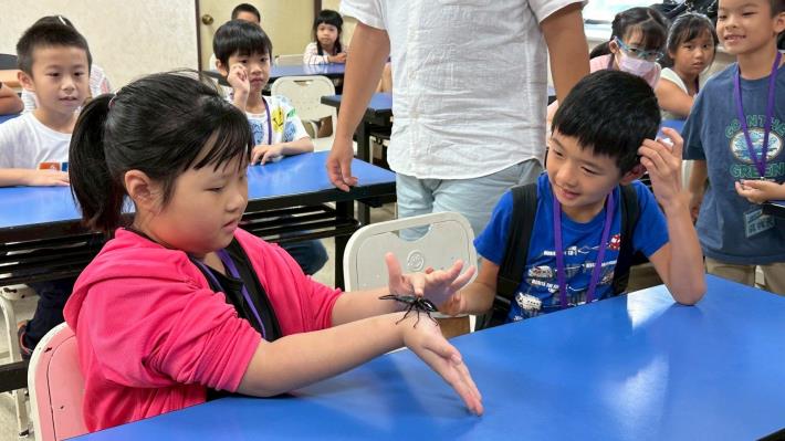 114年Happy Go雲端發票探索趣國小營隊活動照片(17)