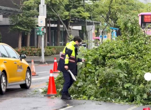 圖說2：路樹倒塌及警方清出車道