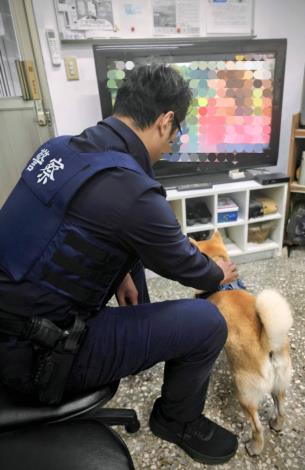 警方細心陪伴並安撫狗狗緊張情緒