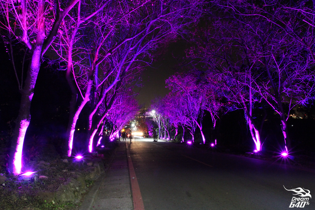 北投櫻花隧道-夜櫻27