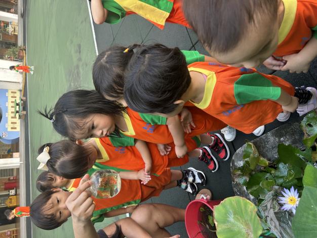 小田園教育－校園裡的魚.JPG