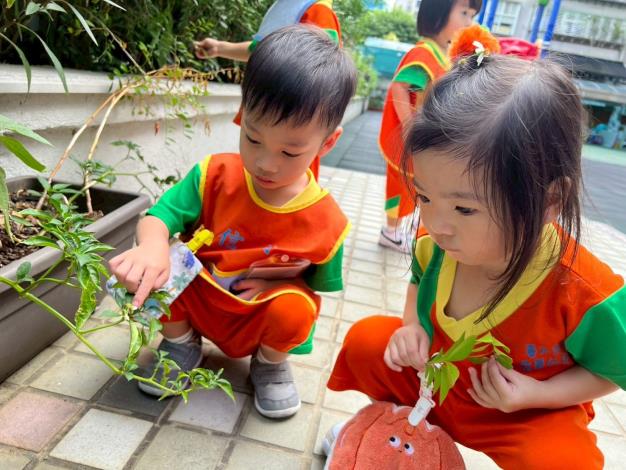 校園巡禮-這葉子上面有洞洞