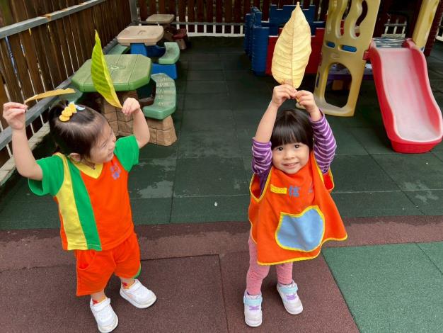 這是我的漂亮葉子雨傘