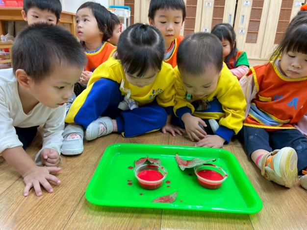 葉子會喝水(葉子實驗)