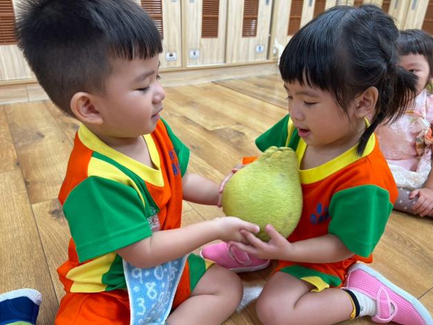 中秋節柚子體驗活動