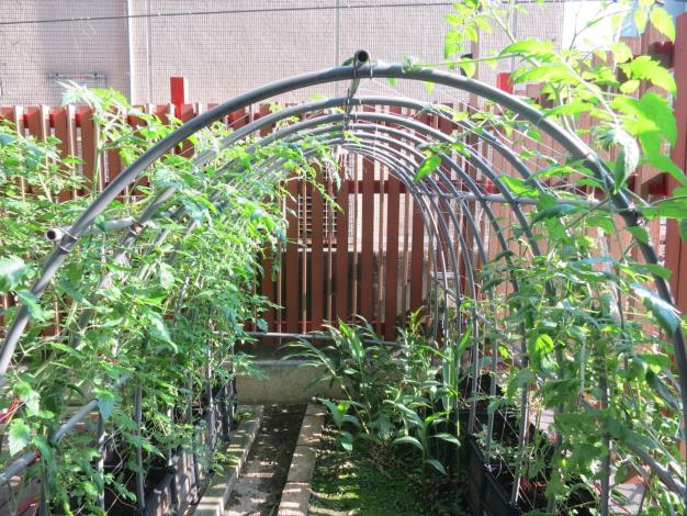 24 小田園種植區
