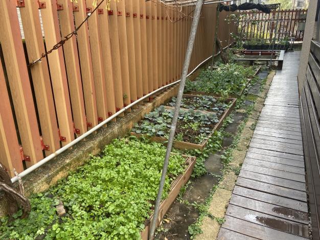 23 小田園種植區.JPG