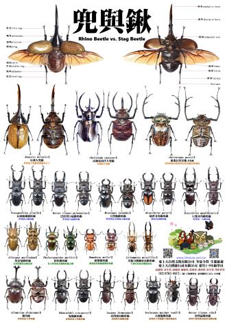 24718984_1131021001_ATTCH3