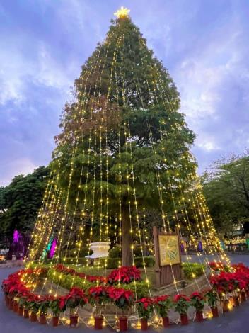 15米高落羽松聖誕樹