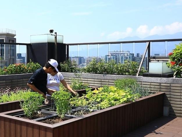 時尚之星綠屋頂