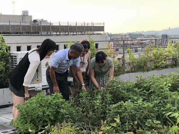 興華大樓綠屋頂