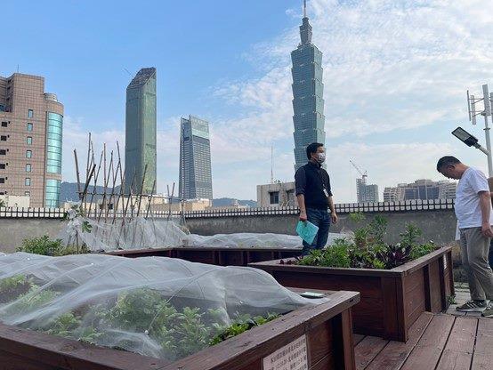 改善後_屋頂風景