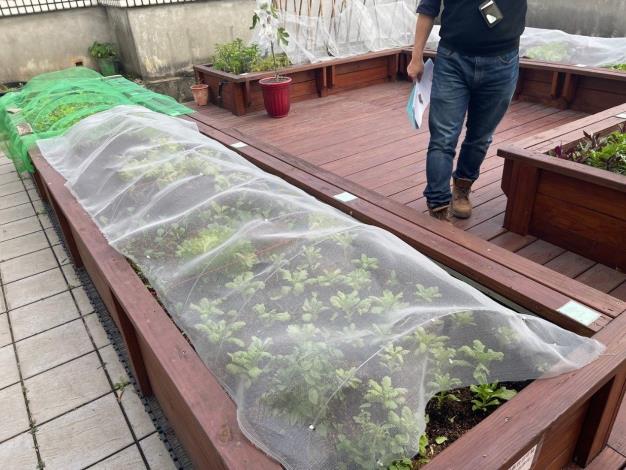 改善後_種植槽(防昆蟲網)