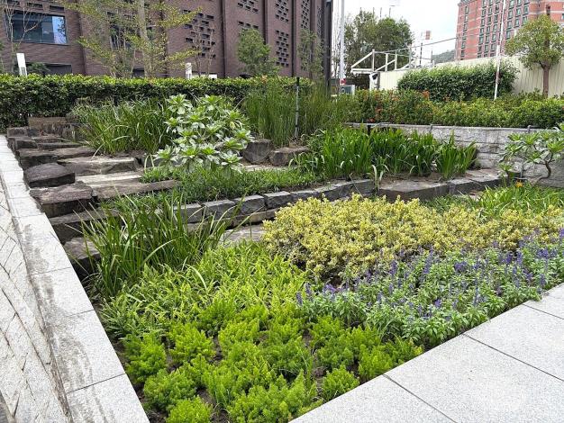 雅璞涵館_基地水池綠化