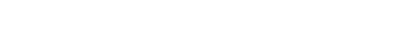Metro Inn