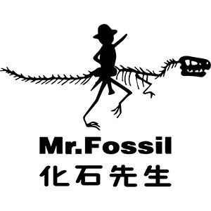 化石先生