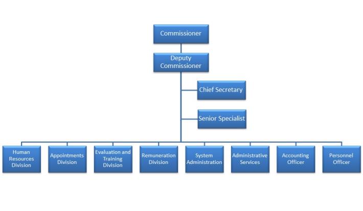 Organization Chart
