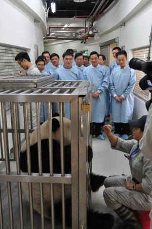 Taipei City Mayor Hau and Secretary of CPC Sichuan Committee visit the pandas' training