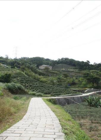 photo8