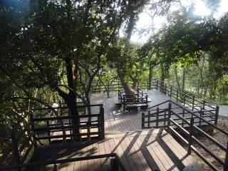 photo9