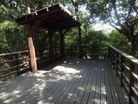 photo3