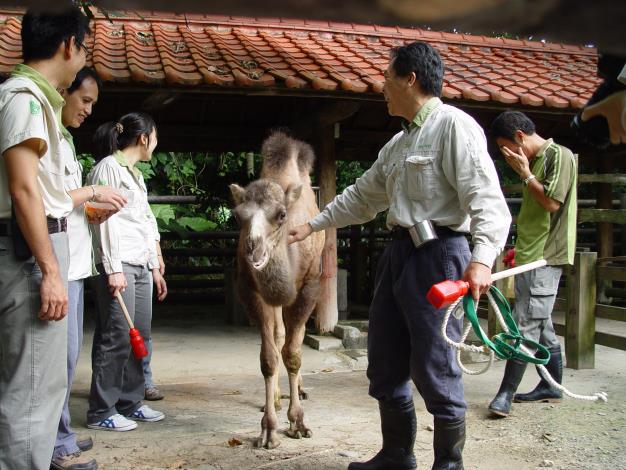 Yan-yu arrived the Children's Zoo Area.