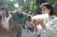 Yan-yu stooped to drink milk.